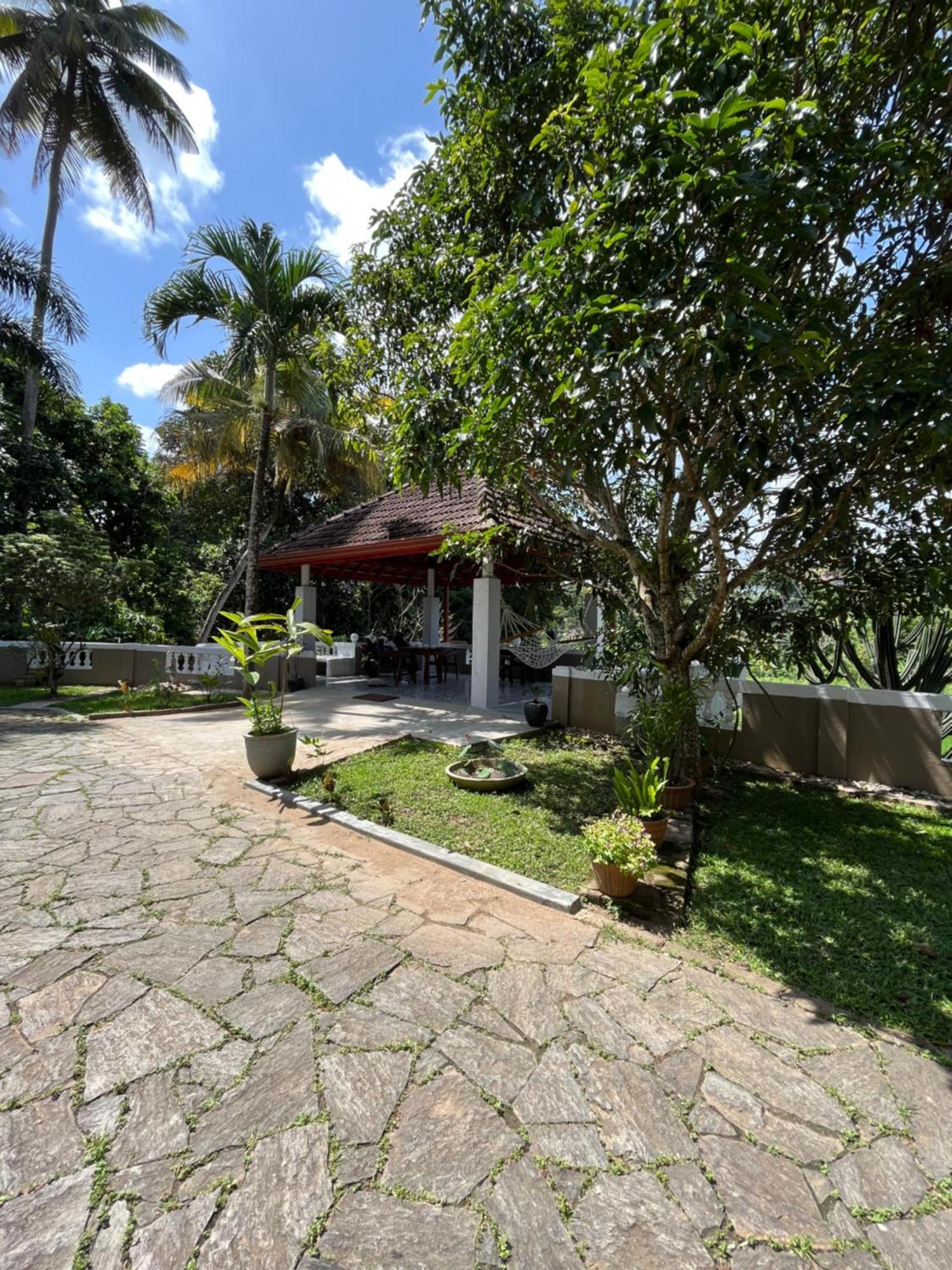 Kandy Living Homestay Экстерьер фото